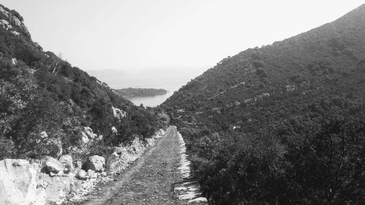 Authentic Ap For 2, Babino Polje,Mljetアパートメント エクステリア 写真