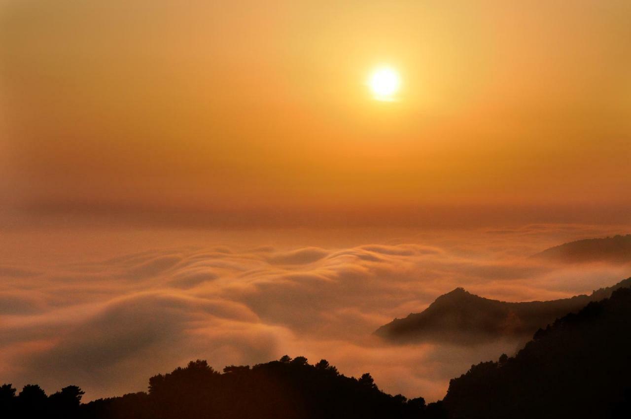 Authentic Ap For 2, Babino Polje,Mljetアパートメント エクステリア 写真