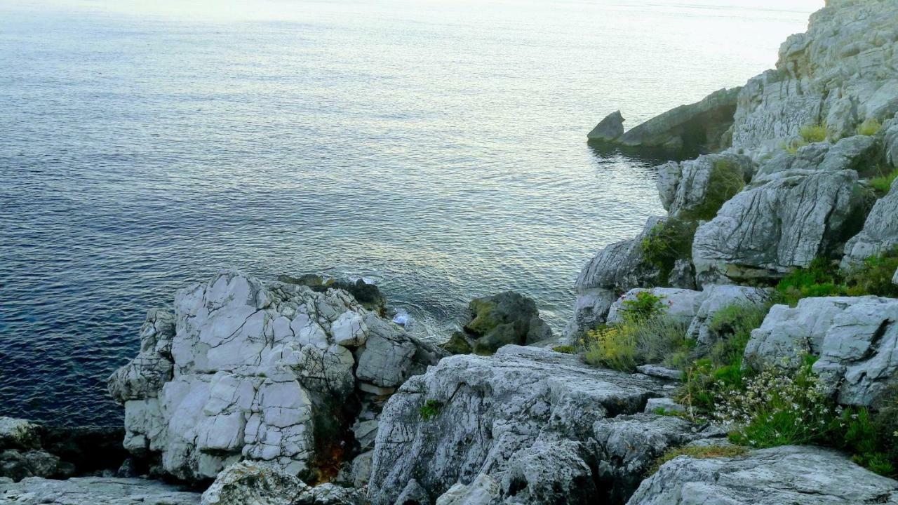 Authentic Ap For 2, Babino Polje,Mljetアパートメント エクステリア 写真